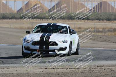 media/Oct-21-2023-Speed Ventures (Sat) [[ddf75163c5]]/Green/Grapvine/